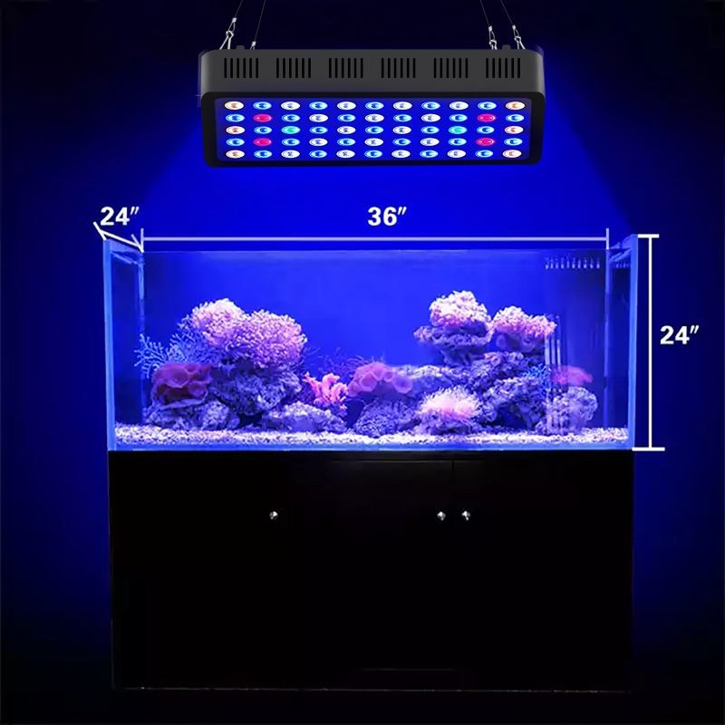 Светильник для аквариума 165 В – обзор и цена Marine Aquarium Timing