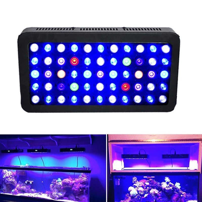 Светильник для аквариума 165 В – обзор и цена Marine Aquarium Timing