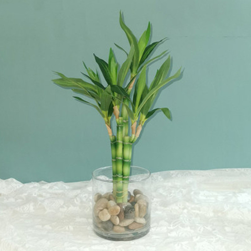 Новый 40 см искусственный счас – обзор и цена Aquarium Marine Plants
