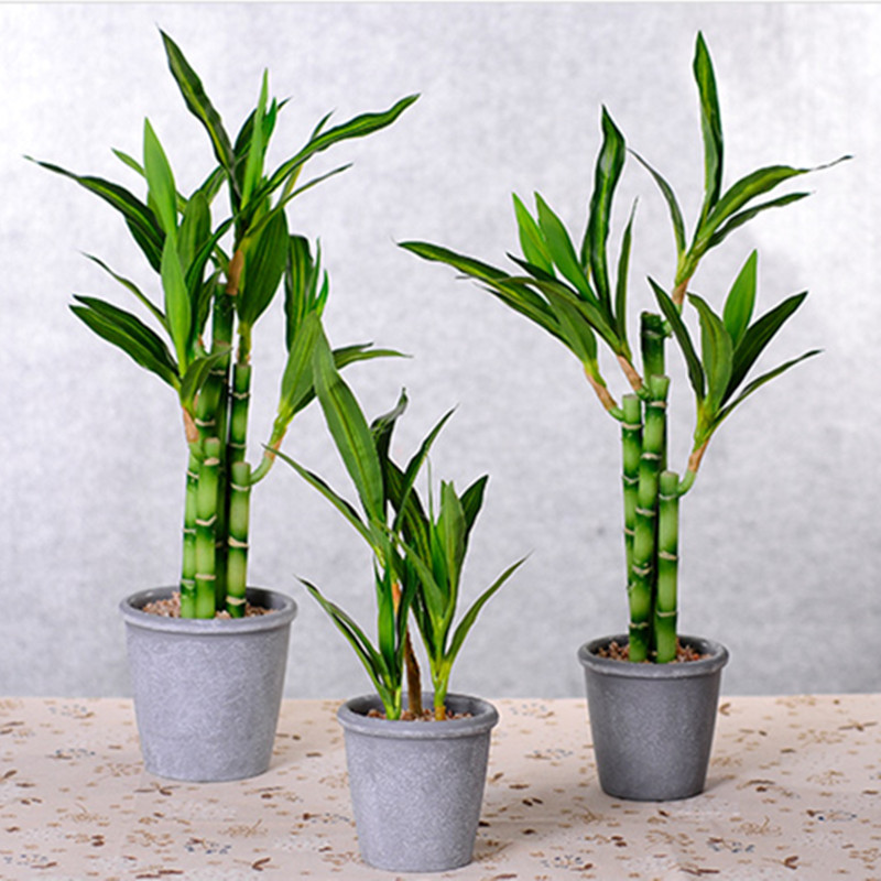 Новый 40 см искусственный счас – обзор и цена Aquarium Marine Plants