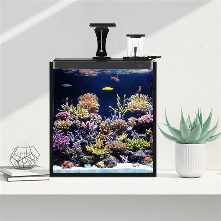 Последняя модель из прозрачног – обзор и цена Aquarium Marine Salt