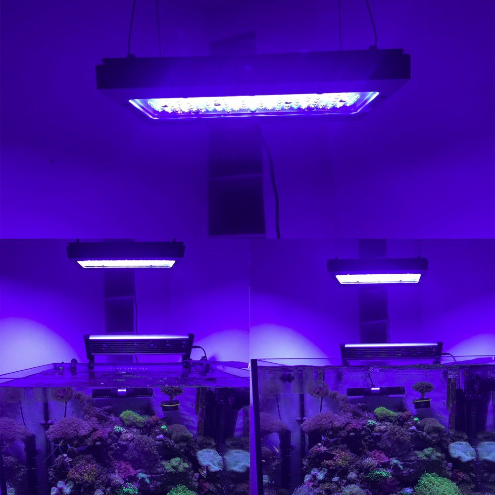 A8se Pro III MAX Blue 240W Све – обзор и цена Aquarium Marine Blue