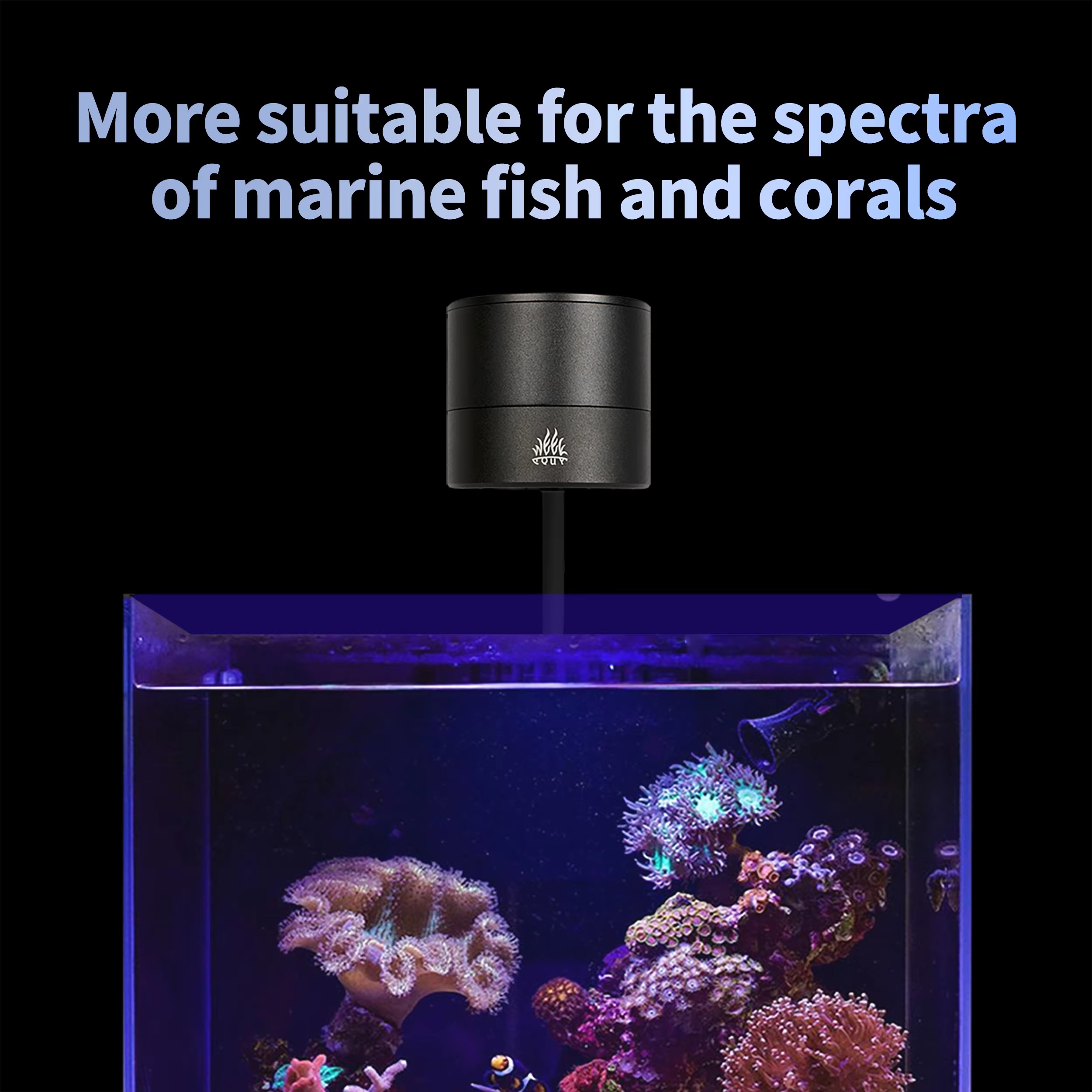 Светильник WEEK AQUA для аквар – обзор и цена Aquarium Marine Blue