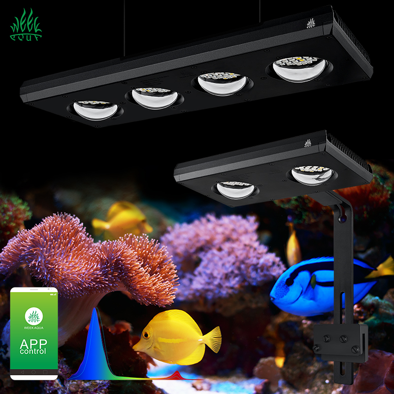 ZXY Лидер продаж WEEKAQUA Z250 – обзор и цена Aquarium Marine Blue
