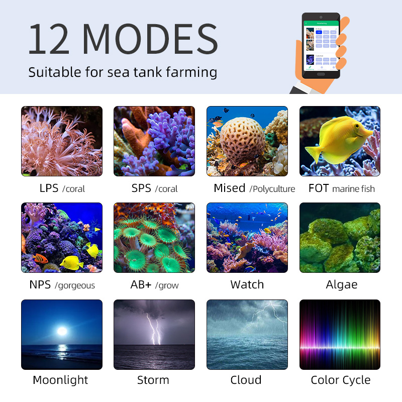 ZXY Лидер продаж WEEKAQUA Z250 – обзор и цена Aquarium Marine Blue