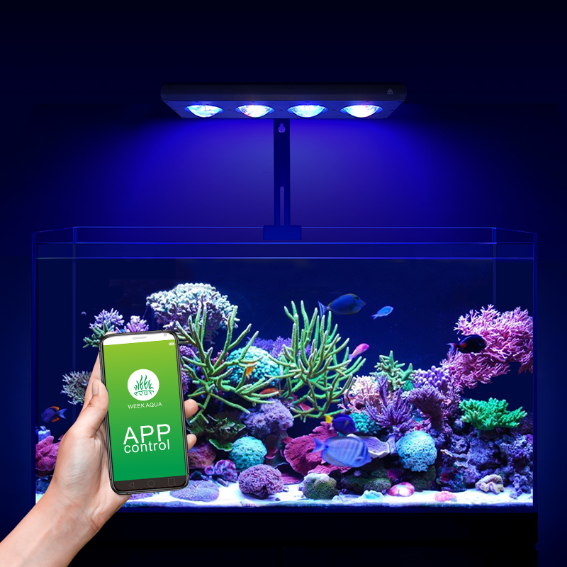 ZXY Лидер продаж WEEKAQUA Z250 – обзор и цена Aquarium Marine Blue
