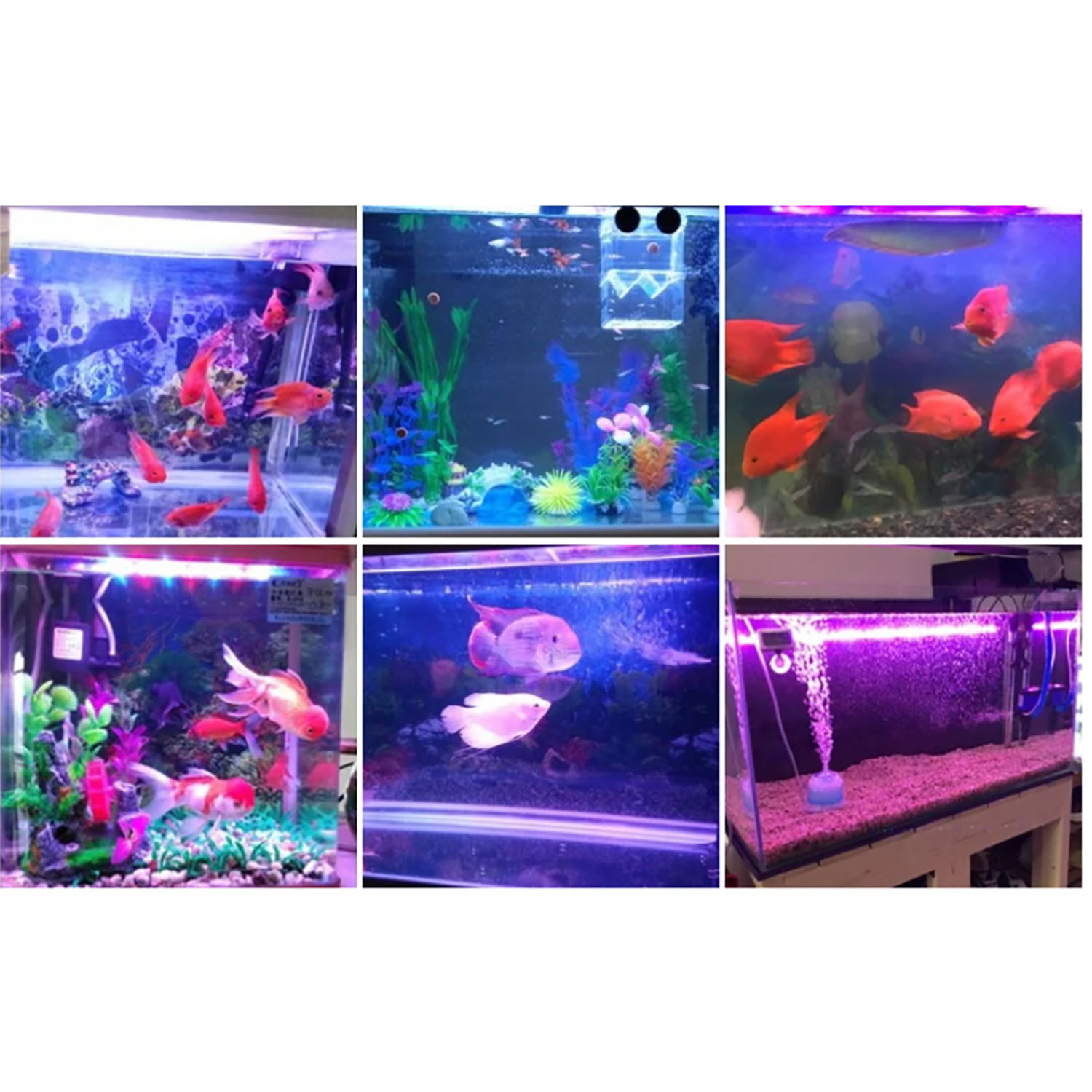 Светодиодное освещение для акв – обзор и цена Aquarium Marine Blue