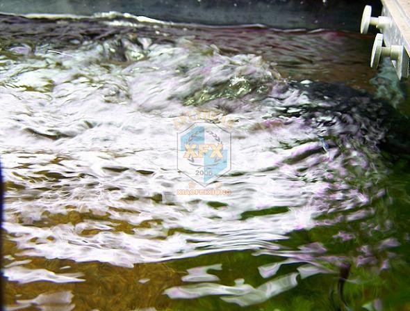 Sunsun Jvp-200 новейший насос  – обзор и цена Aquarium Marine Salt