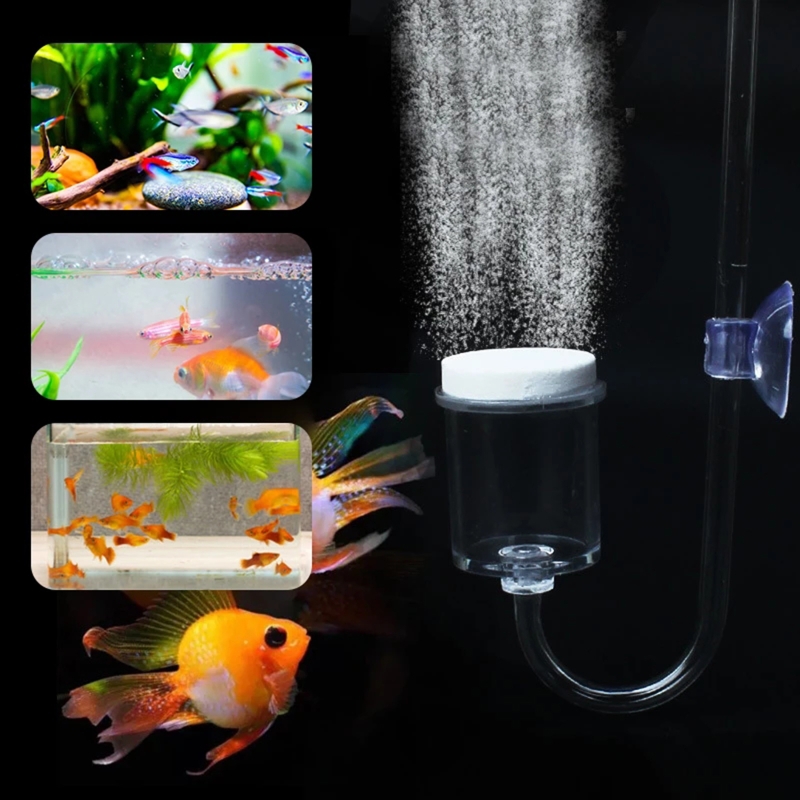 4 шт./набор, соленоидный регул – обзор и цена Aquarium Marine Plants